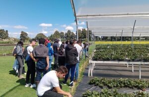 Ingeniería Agronómica