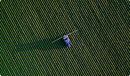 Ciencias Agrarias con énfasis en Hortifruticultura