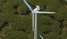 Licenciatura en ciencias sociales