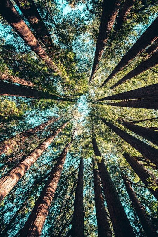 Plan institucional y de gestión ambiental PIGA