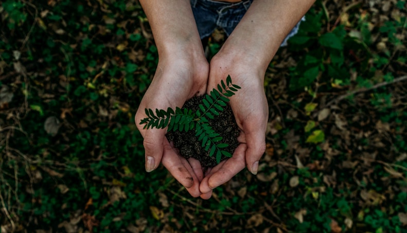 Cultura ambiental