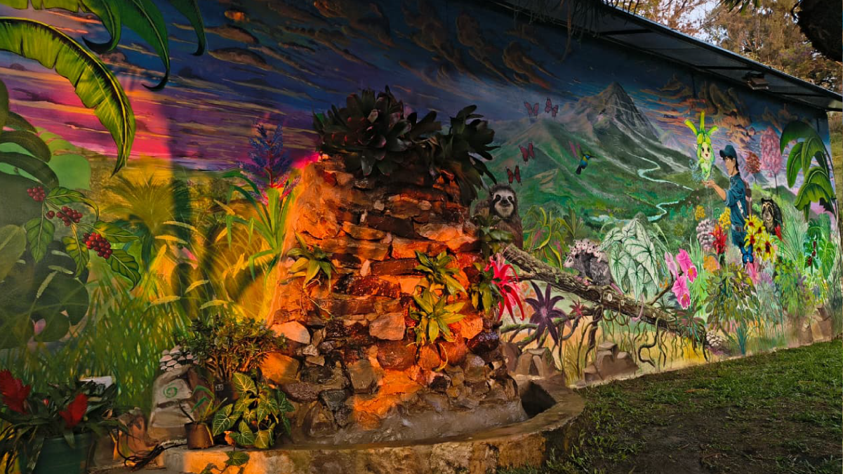 IMPULSANDO CULTURA AMBIENTAL