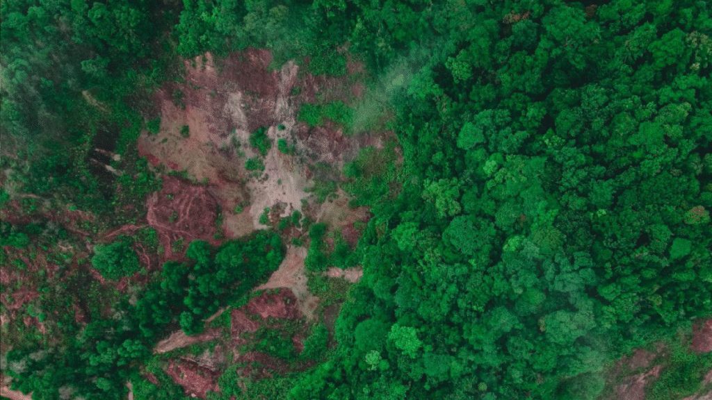 Contribute to the country's environmental policy