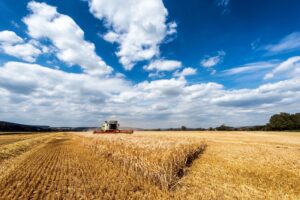 Especialización en Agronegocios Sostenibles