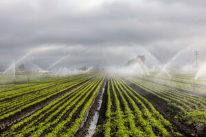 Maestría en Ciencias Agrarias con énfasis en Hortifruticultura