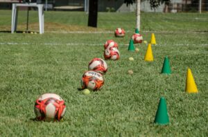 Profesional de Ciencias del Deporte
