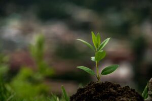 Especialización en Educación Ambiental y Desarrollo de la Comunidad.