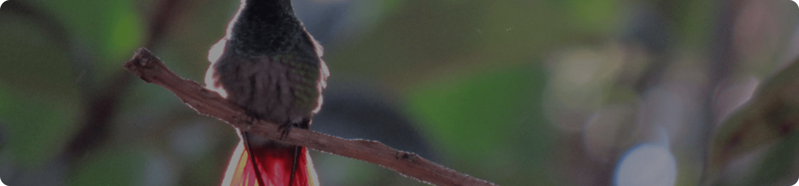 Specialization in environmental education and community development