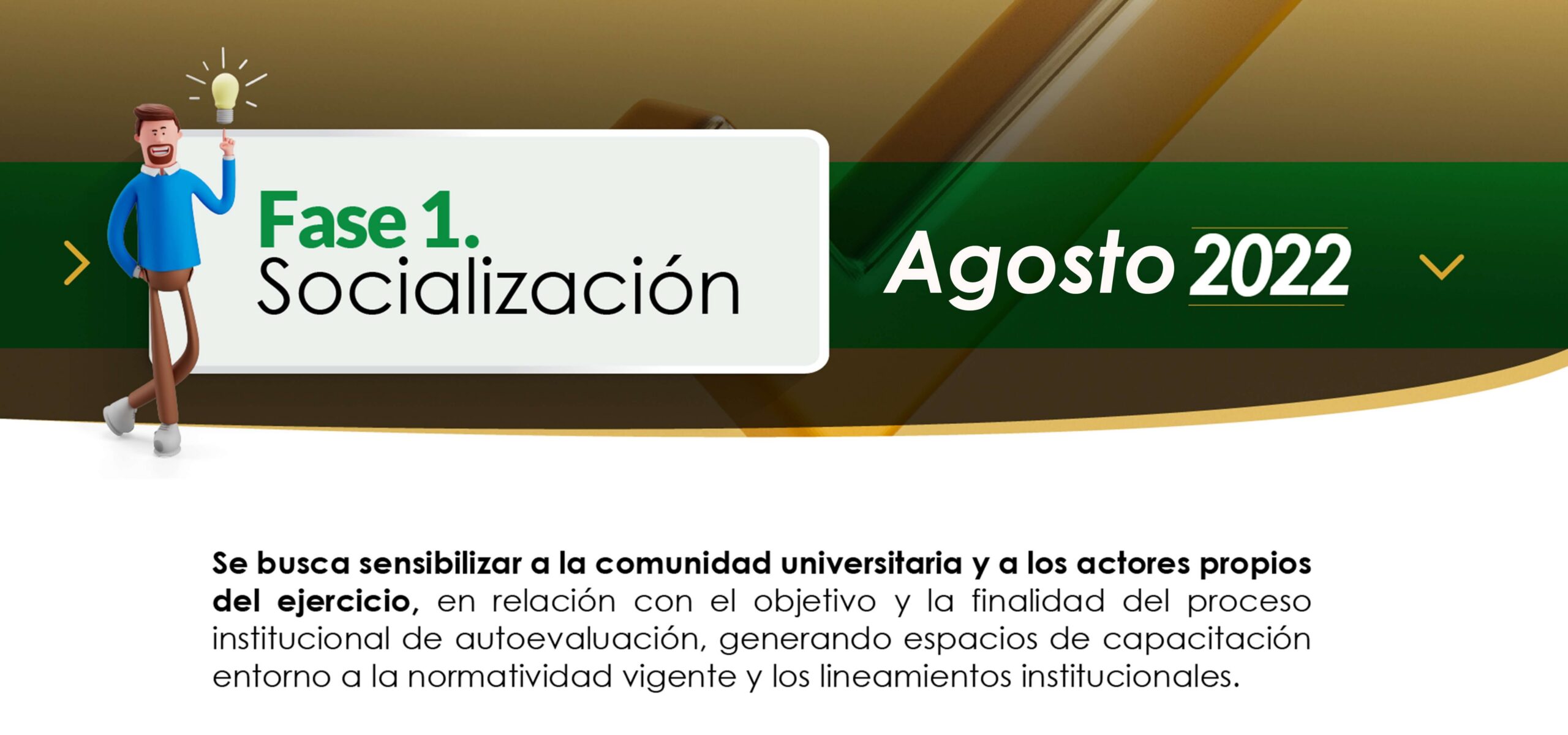 Fase socializacion 1