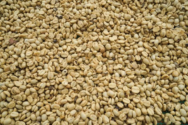 Café pergamino