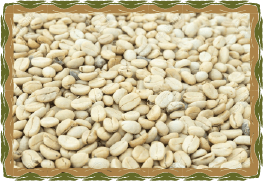 Café Finca Santa Elena