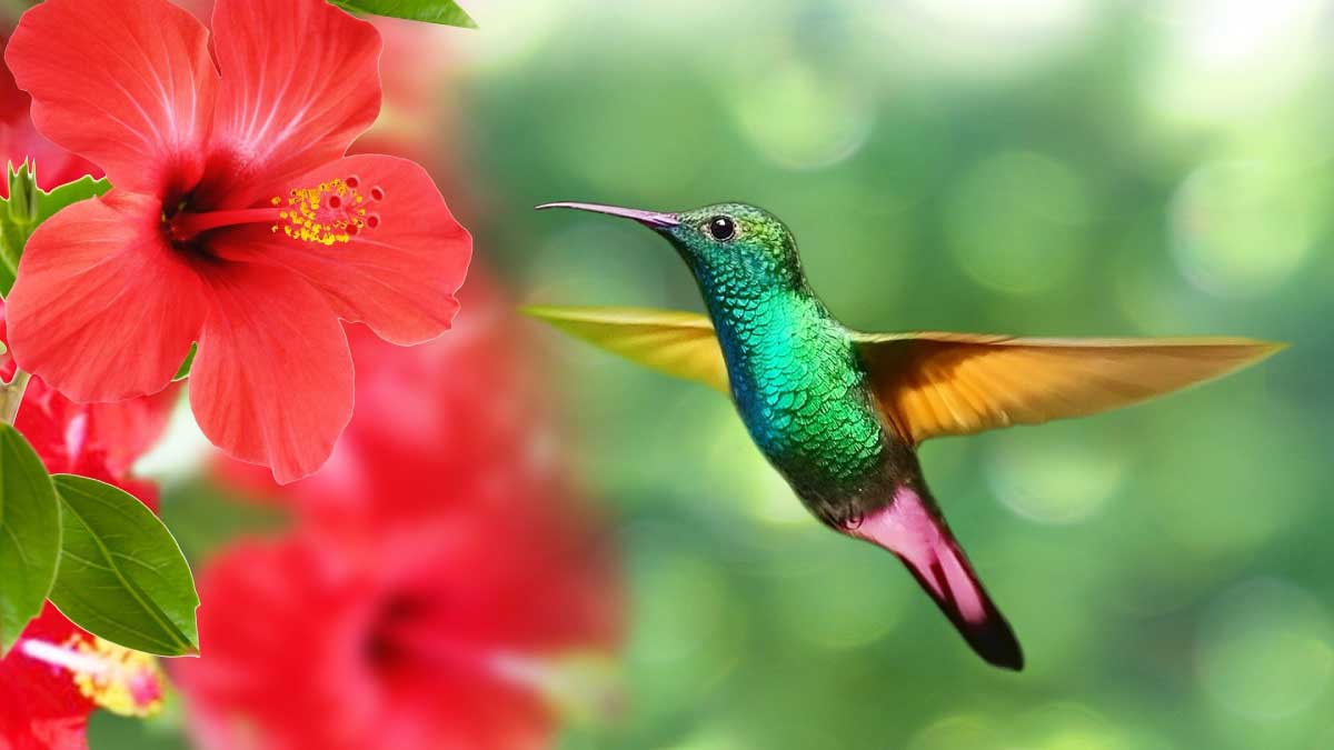 May 22nd, International Biodiversity Day