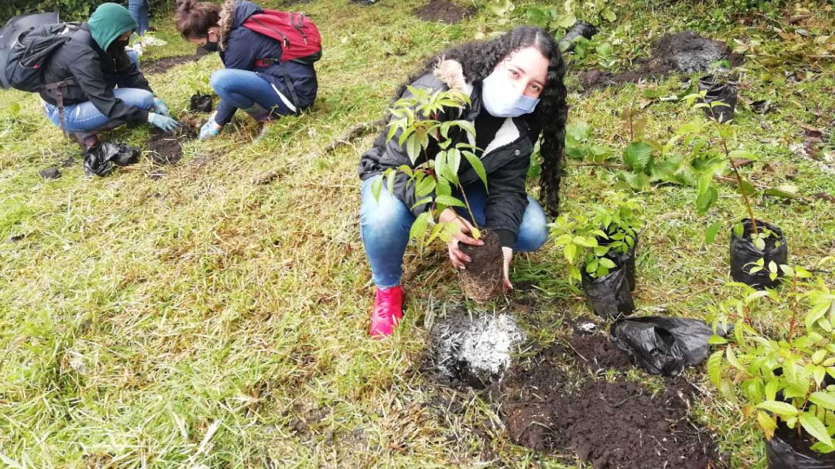 500 Árboles nuevos en la UCundinamarca — imagen 2 de 4