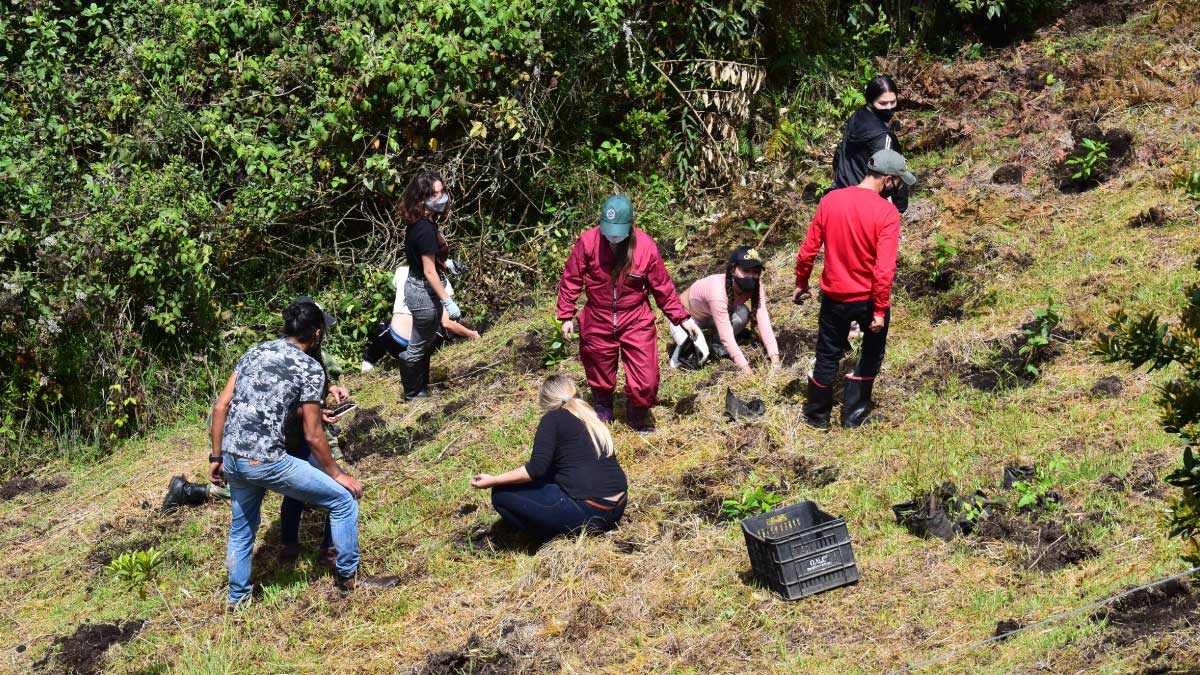 500 Árboles nuevos en la UCundinamarca — imagen 3 de 4