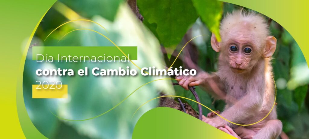 ¿A qué se conoce como cambio climático?