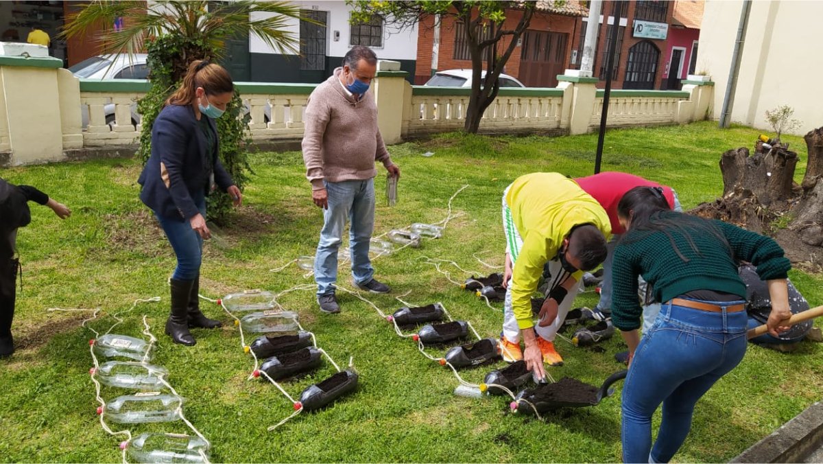 Administrativos en Ubaté crean huerto vertical — imagen 2 de 2
