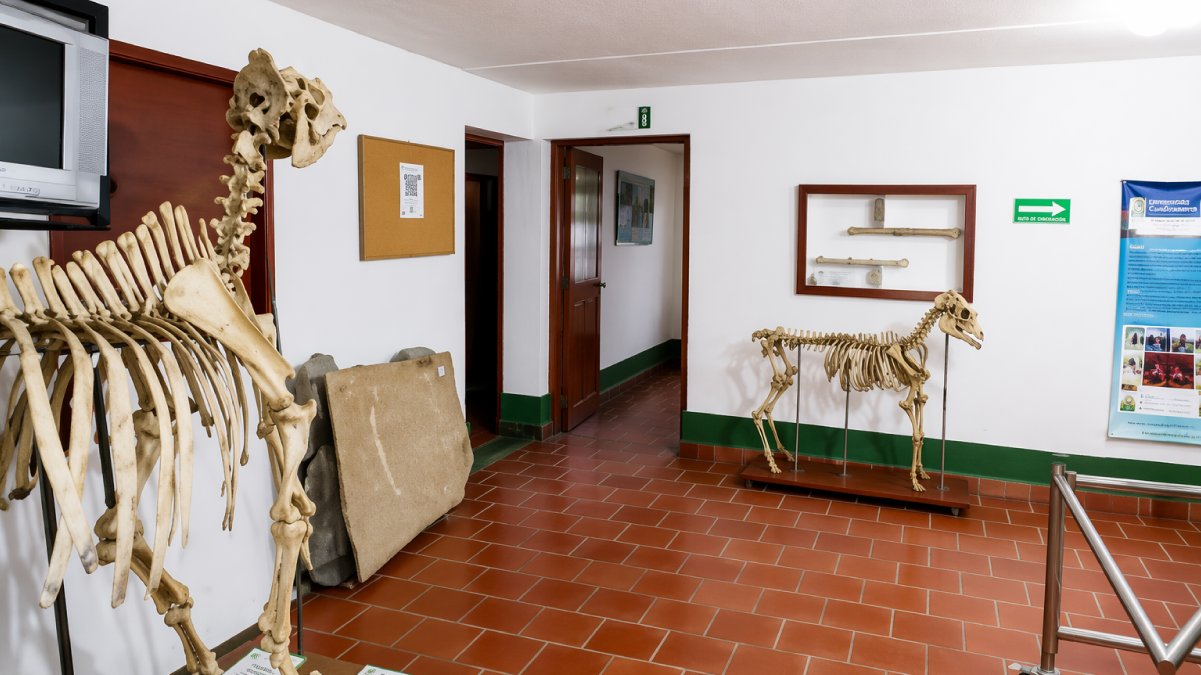 AgroUCundinamarca promotes research with modern infrastructure — image 2 of 7
