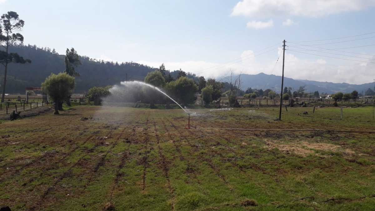 Food for crops — image 4 of 4