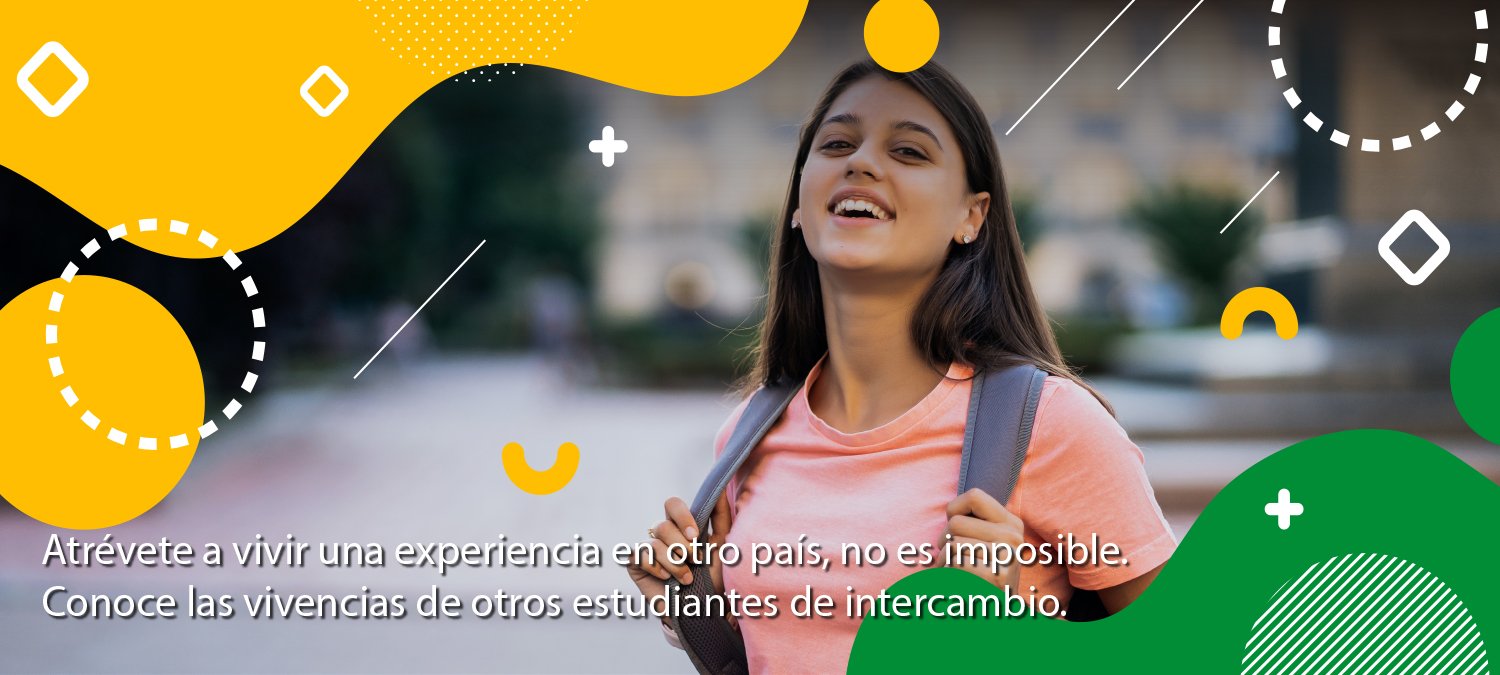 Take the plunge and continue your education with UDEC abroad