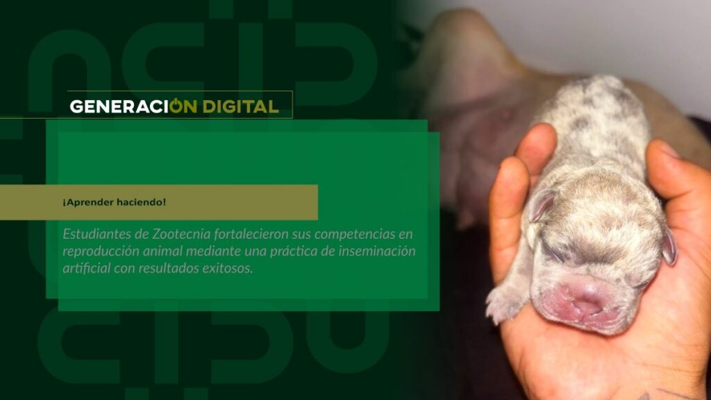 ¡Aprender haciendo! — imagen 1 de 2