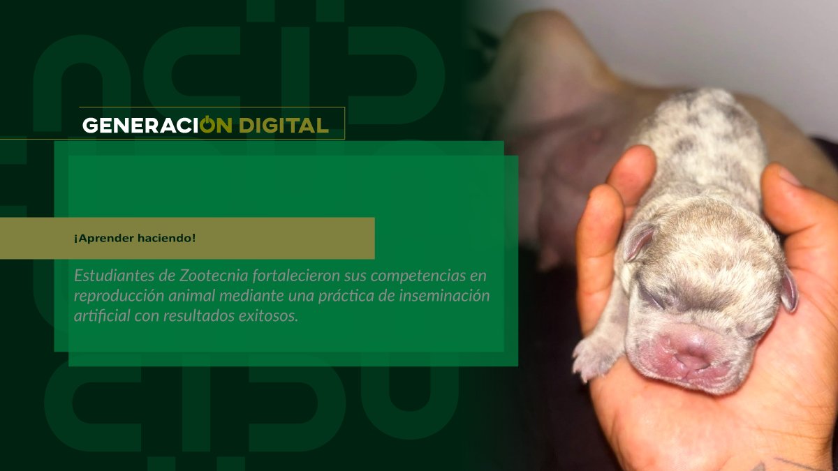 ¡Aprender haciendo! — imagen 1 de 2