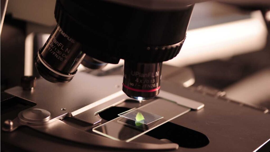 Articulados para fortalecer la ciencia en el país