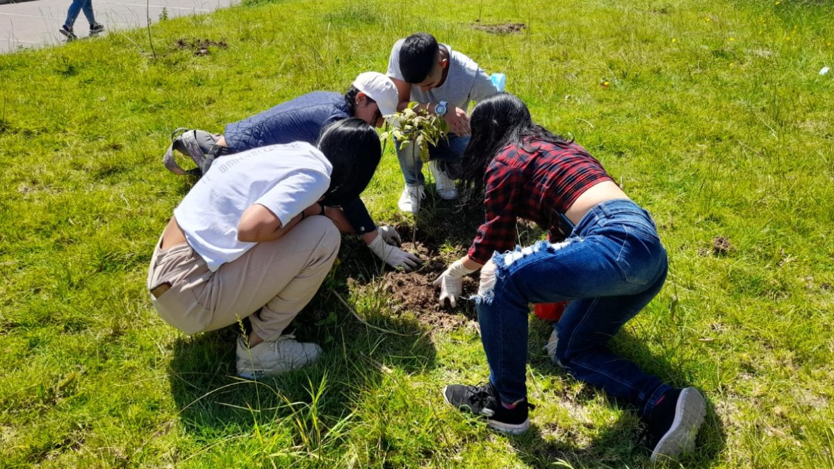 This is how the planting day went at the Soacha Extension — image 3 of 3