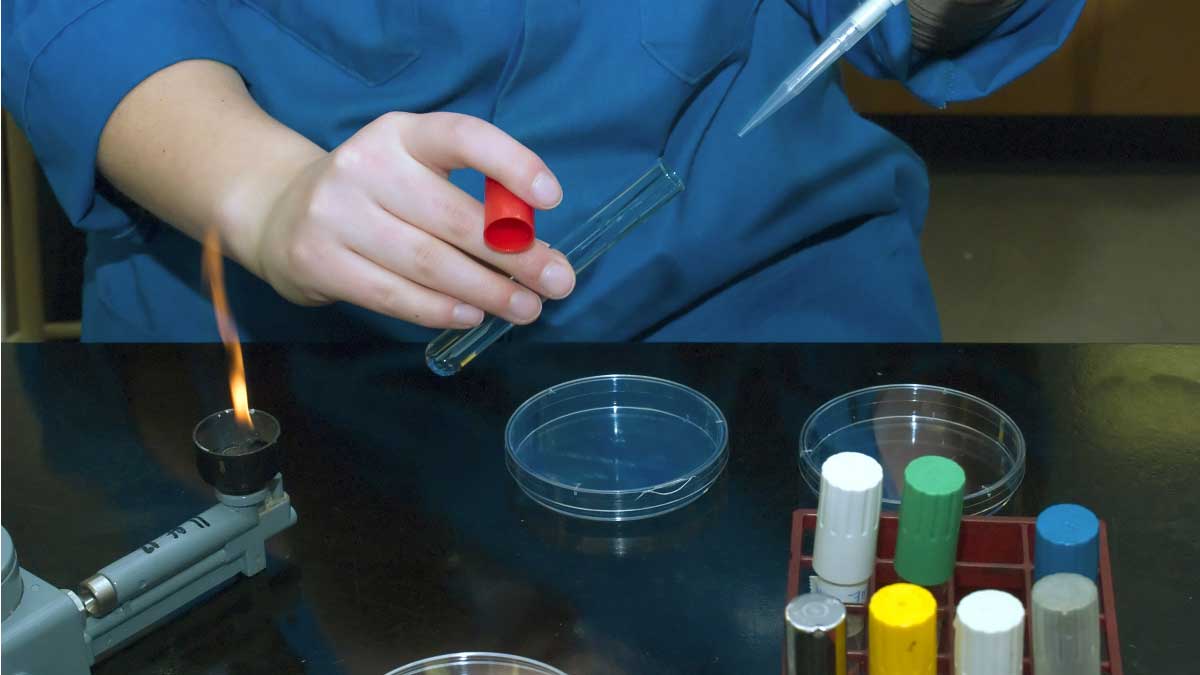 Bacterias y hongos facilitan la degradación del plástico