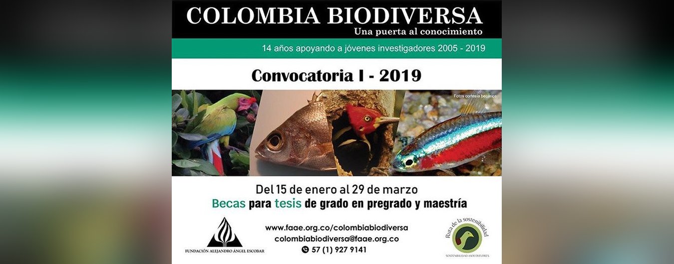 Becas Colombia Biodiversa - Instrucciones para la aplicación