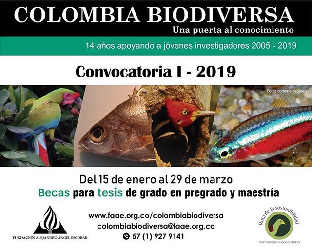 Becas Colombia Biodiversa - Instrucciones para la aplicación Becas Colombia Biodiversa - Instrucciones para la aplicación