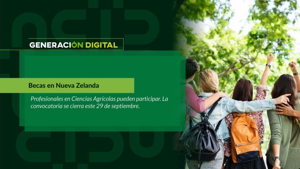 Becas en Nueva Zelanda