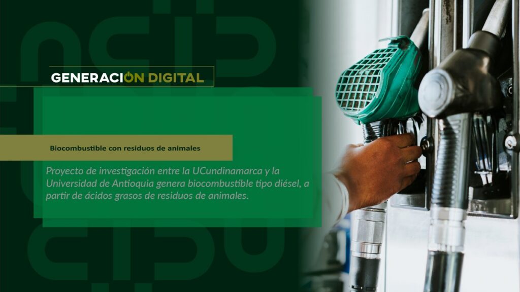 Biocombustible con residuos de animales