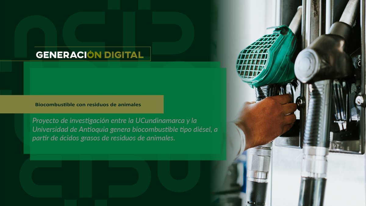 Biocombustible con residuos de animales
