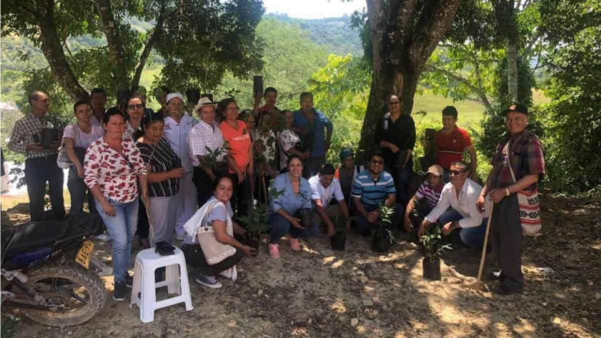 Biocomercio: el bosque no solo es sabio también es generoso — imagen 3 de 3