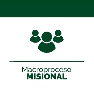 Macroproceso Misional