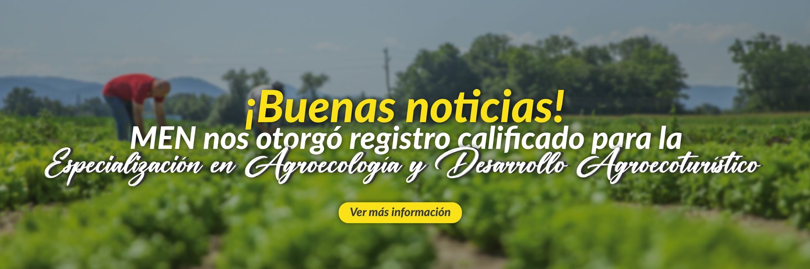 ¡Buenas noticias!