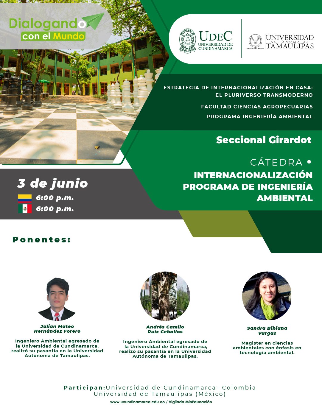 Cátedra. Internacionalización programa de Ingeniería Ambiental Cátedra. Internacionalización programa de Ingeniería Ambiental
