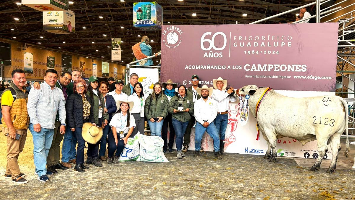 Celebrando la tradición ganadera colombiana — imagen 3 de 3