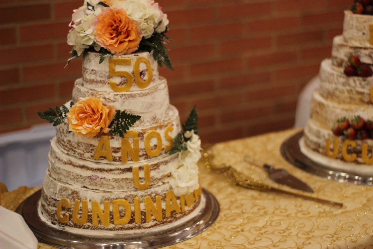 Chía pays tribute to 50 years of institutional life — image 2 of 4