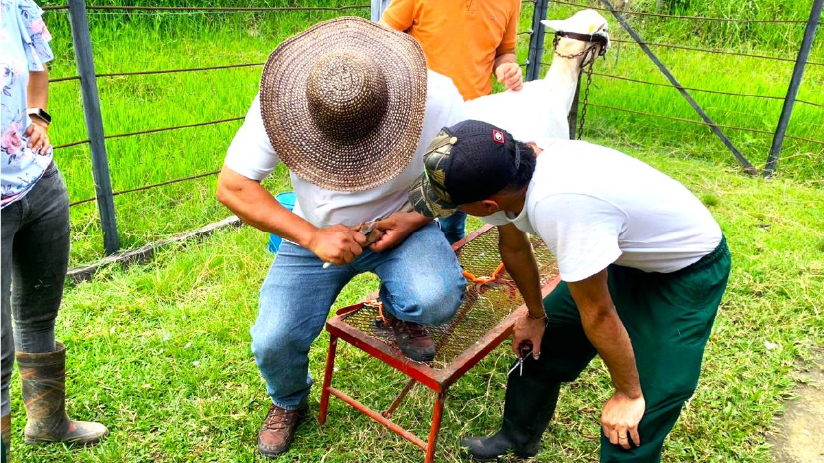 Ciencia e innovación al servicio del campo — imagen 2 de 4