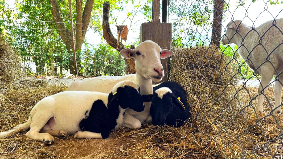 Ciencia e innovación al servicio del campo — imagen 3 de 4