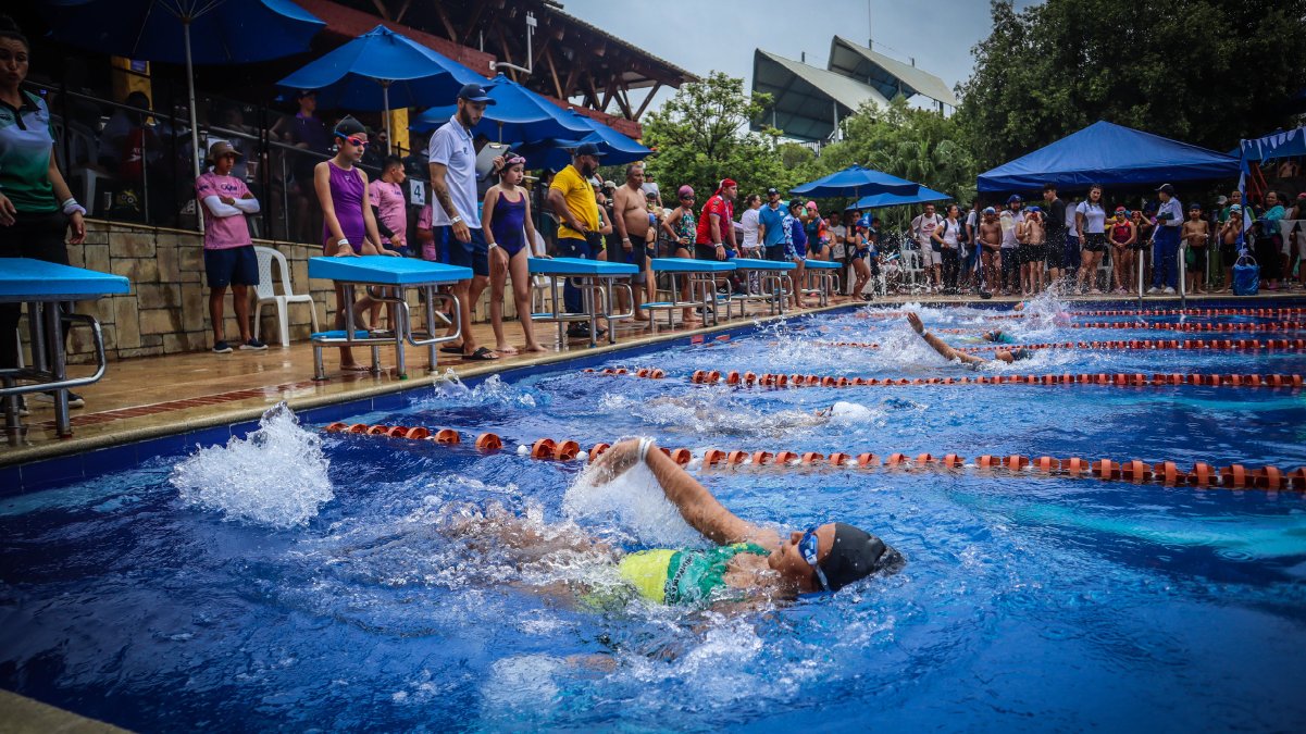 Club de natación sigue cosechando triunfos — imagen 3 de 5