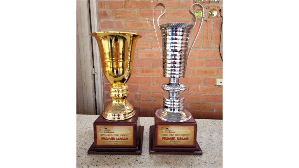 Club de patinaje, campeón departamental — imagen 1 de 4