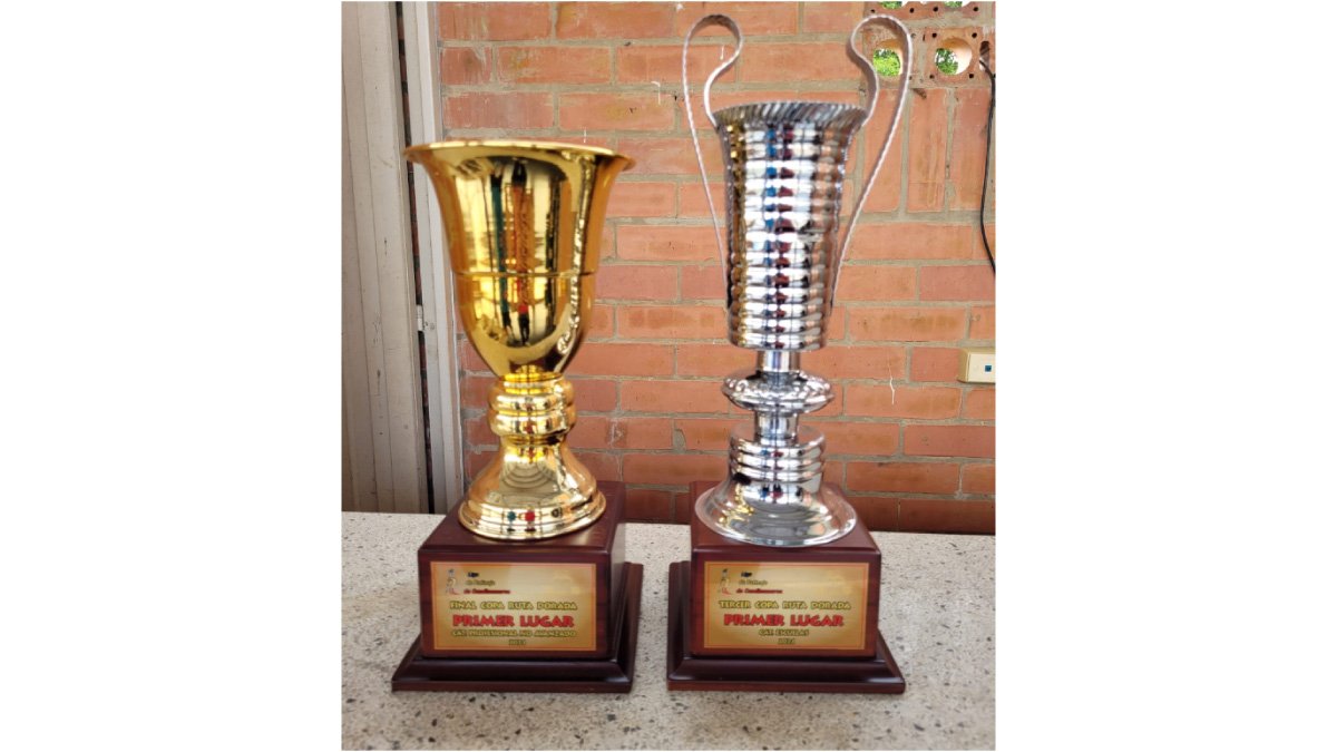 Club de patinaje, campeón departamental — imagen 1 de 4