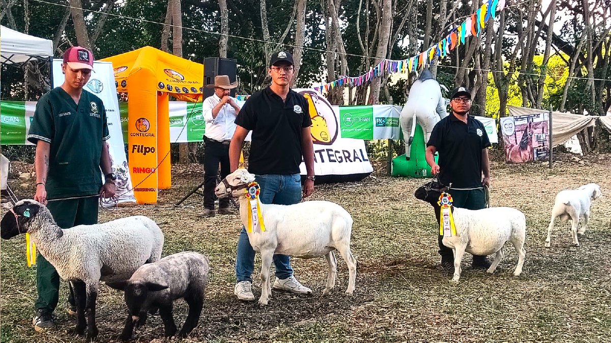 Club Ovino Caprino brilló en exposición agropecuaria — imagen 3 de 5