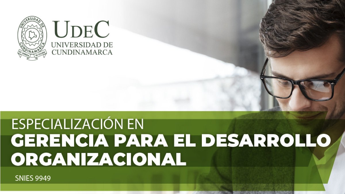 ¿Cómo lograr el desarrollo de las organizaciones?