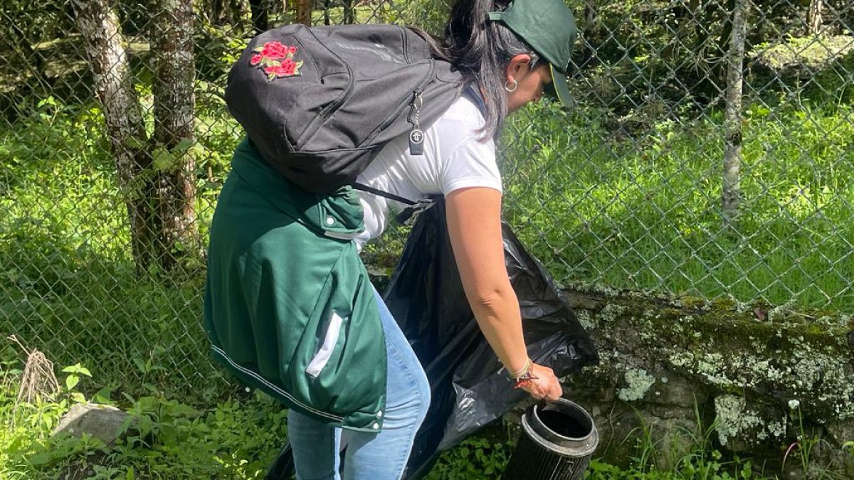 ¿Cómo participar en un voluntariado? — imagen 3 de 4