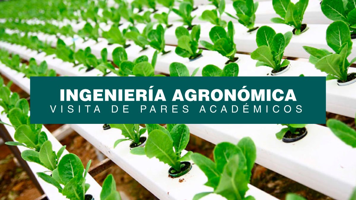 Comunicado 006 - Visita de Pares Académicos al programa de Ingeniería Agronómica