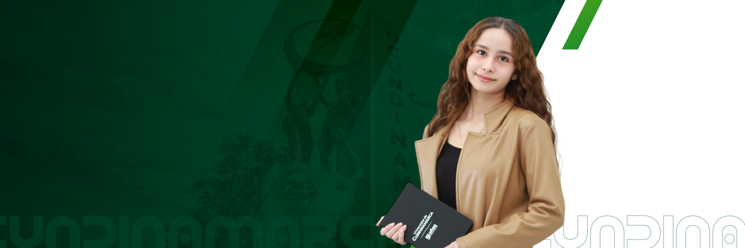 Concurso público de méritos para proveer vacantes de planta