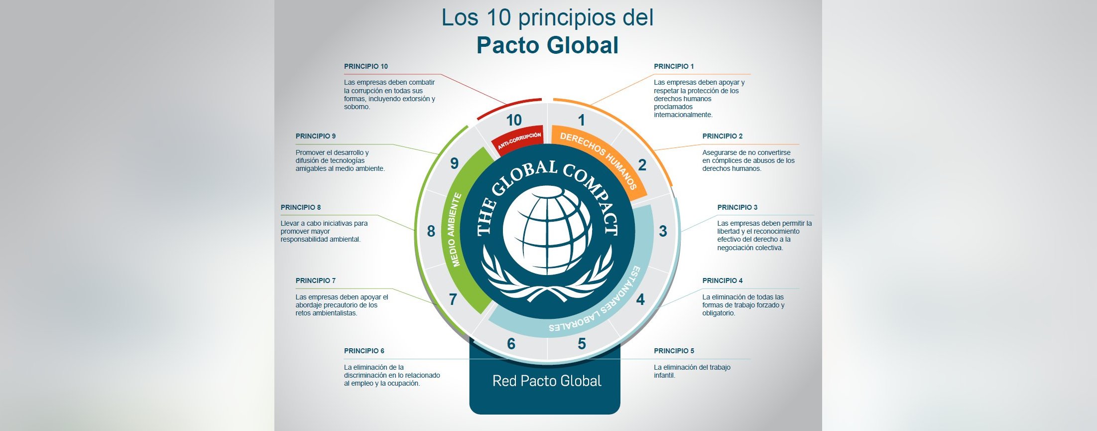 ¿Conoces los 10 principios del Pacto Global? ¡Encuéntralos aquí!